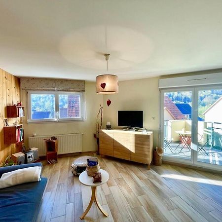 Au Nid De Cigogne Avec Garage A Kaysersberg Ngoại thất bức ảnh